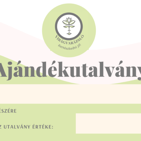 Ajándékutalvány 9000 Ft