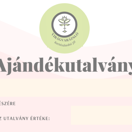 Ajándékutalvány 5000 Ft