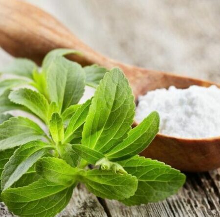 Stevia rebaudiana - Édes levél (min. 10 szem)