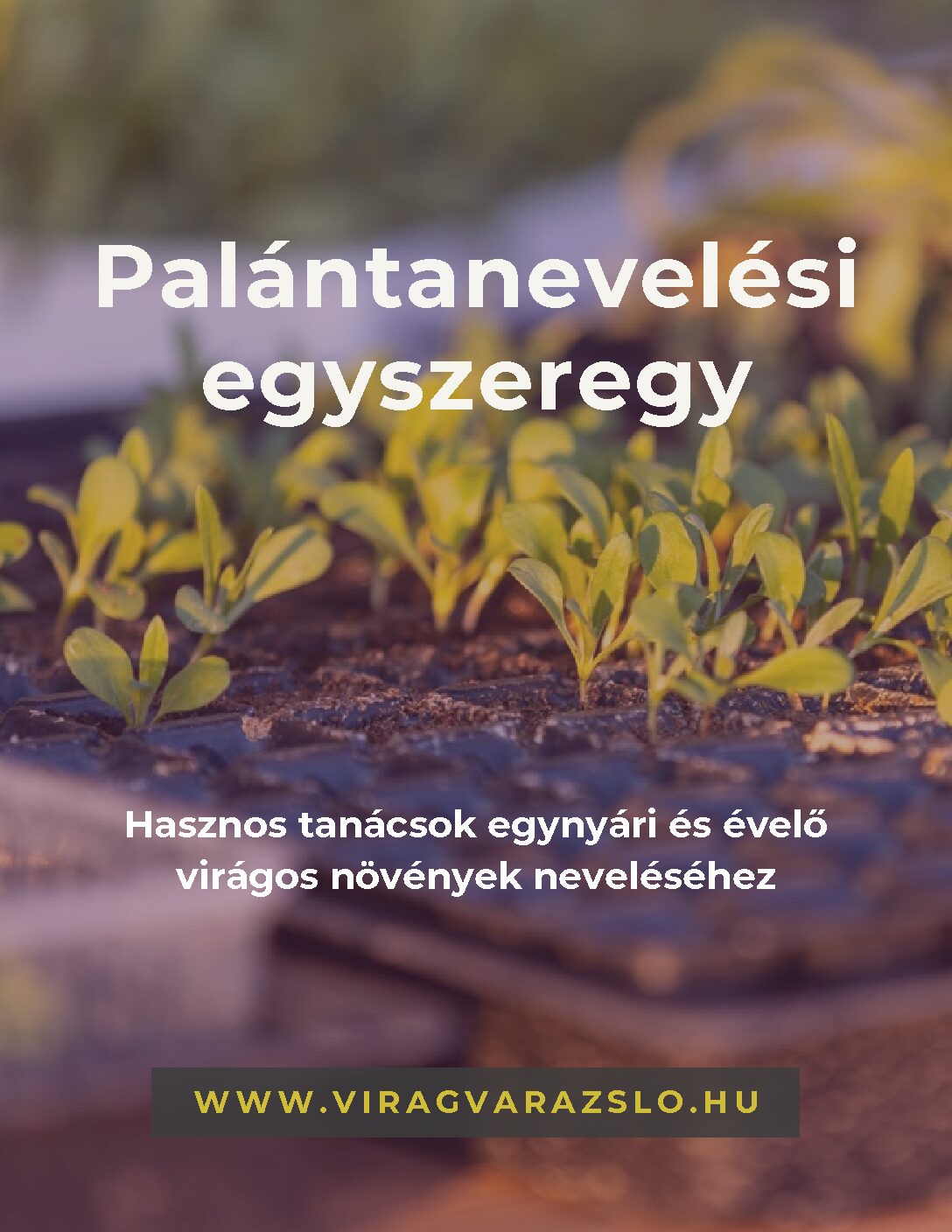 Palántanevelési egyszeregy (letölthető e-book)