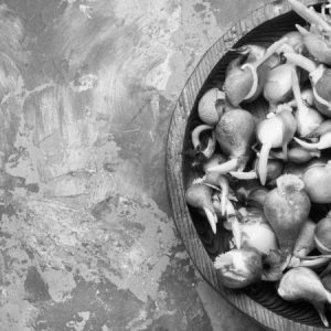 CREATOR: gd-jpeg v1.0 (using IJG JPEG v62), quality = 82